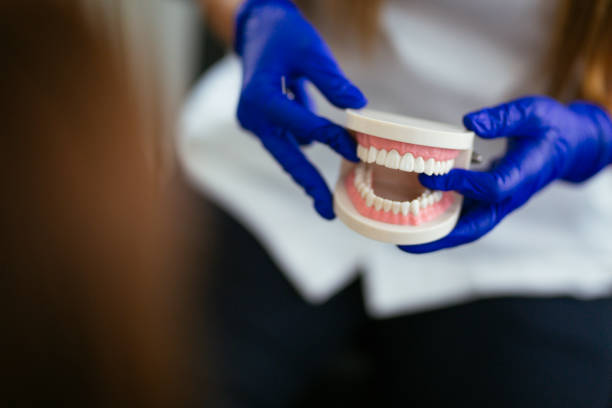 Why Choose Us for Your Dental Needs in Lambertville, MI